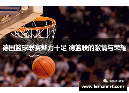 德国篮球联赛魅力十足 德篮联的激情与荣耀
