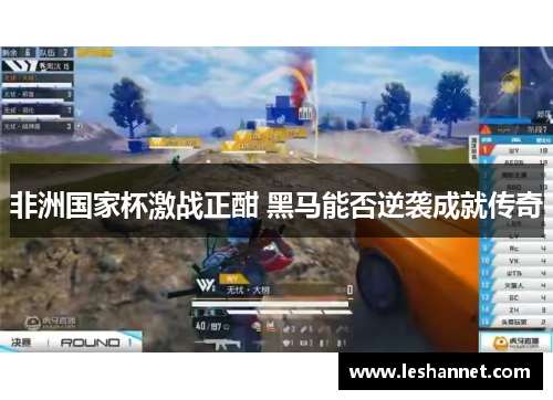 非洲国家杯激战正酣 黑马能否逆袭成就传奇