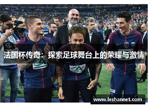 法国杯传奇：探索足球舞台上的荣耀与激情