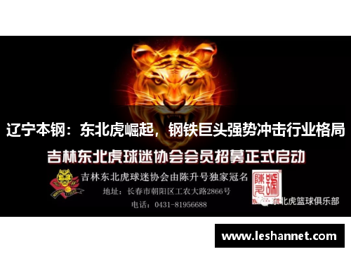 辽宁本钢：东北虎崛起，钢铁巨头强势冲击行业格局